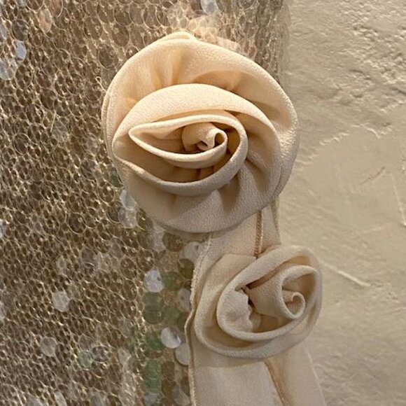 Sydney Sequin Mini Dress - Picture 5 of 13